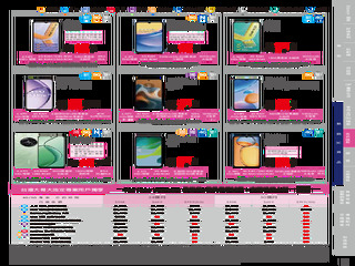 台灣大哥大 DM 第15頁