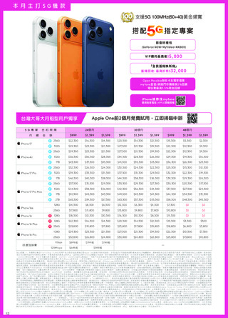 台灣大哥大 DM 第12頁