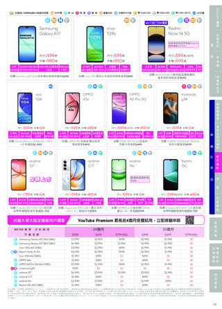 台灣大哥大 DM 第17頁