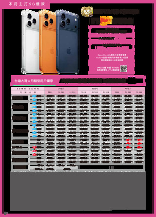 台灣大哥大 DM 第12頁