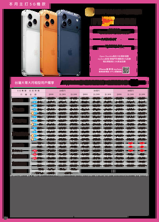 台灣大哥大 DM 第12頁