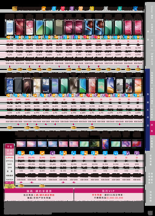 台灣大哥大 DM 第19頁