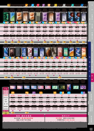 台灣大哥大 DM 第19頁