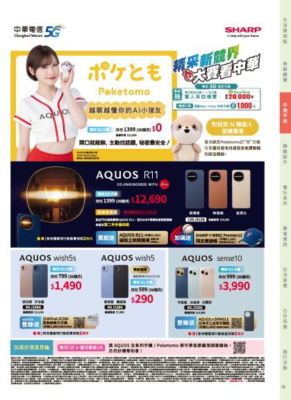 神腦 DM 第21頁